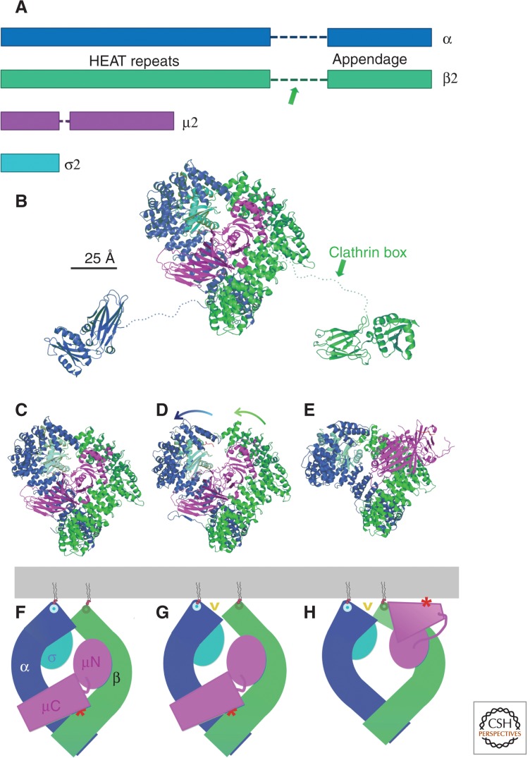 Figure 4.