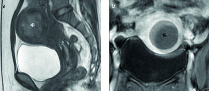 Figure 2. a, b