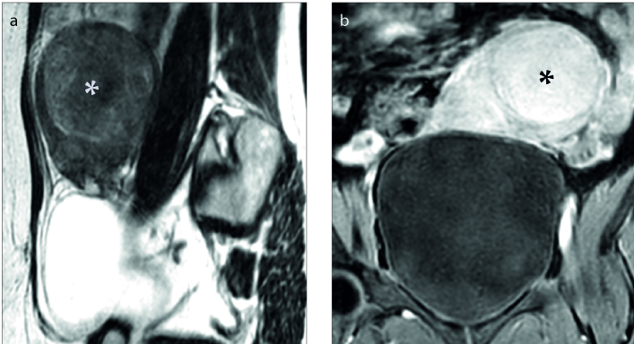 Figure 3. a, b