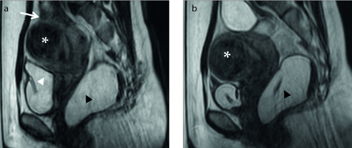 Figure 13. a, b