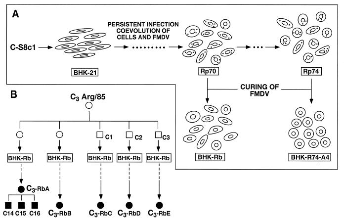 FIG. 1