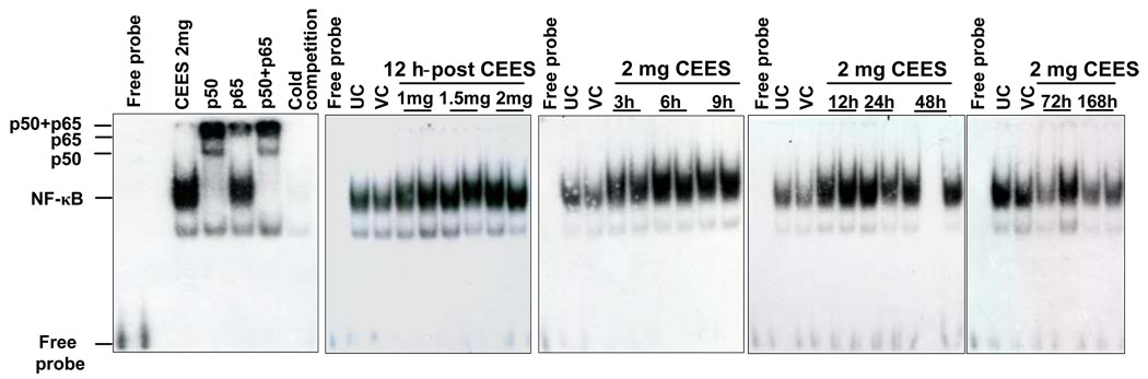 Fig. 8