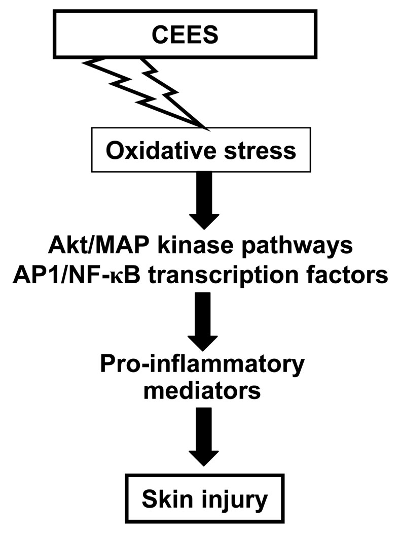 Fig. 10