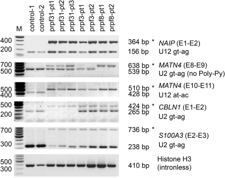 Figure 5.