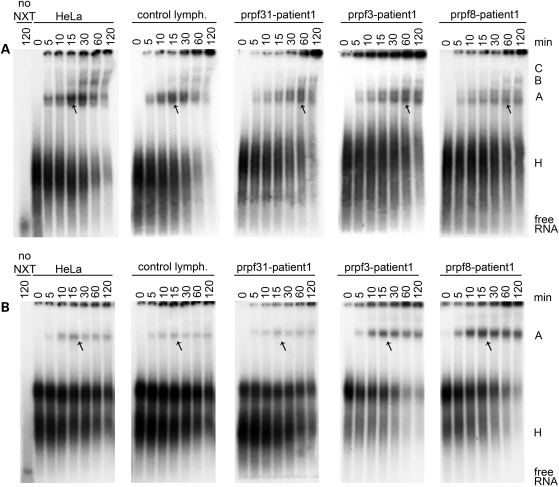 Figure 3.