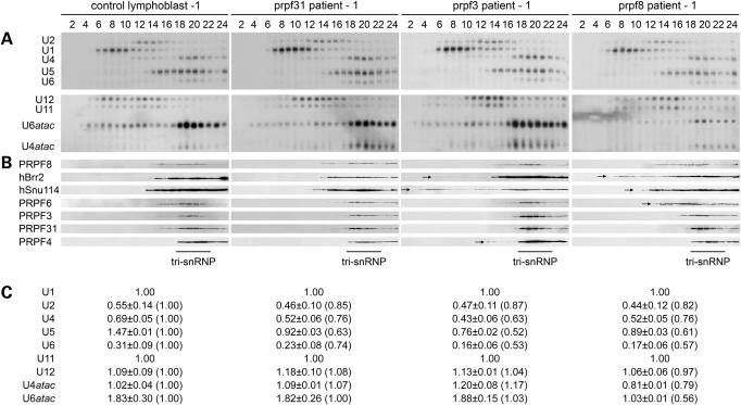 Figure 2.