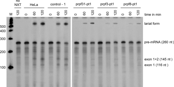 Figure 4.