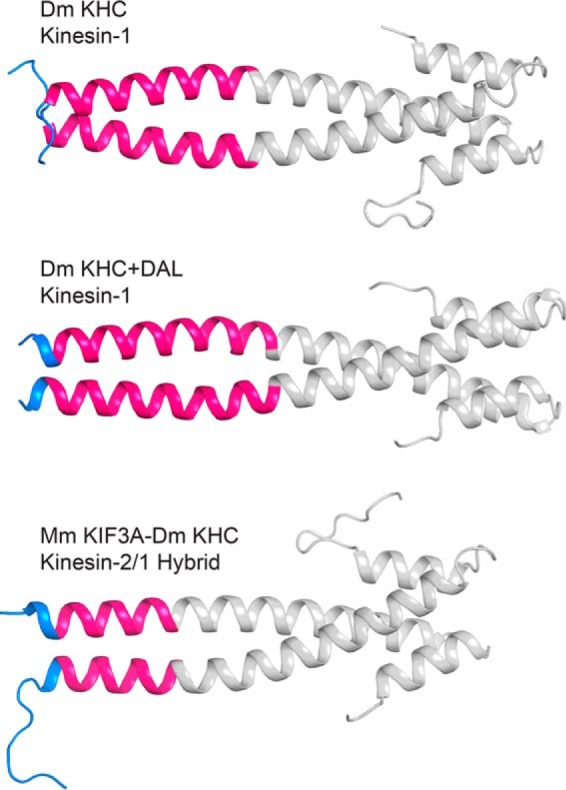 FIGURE 5.