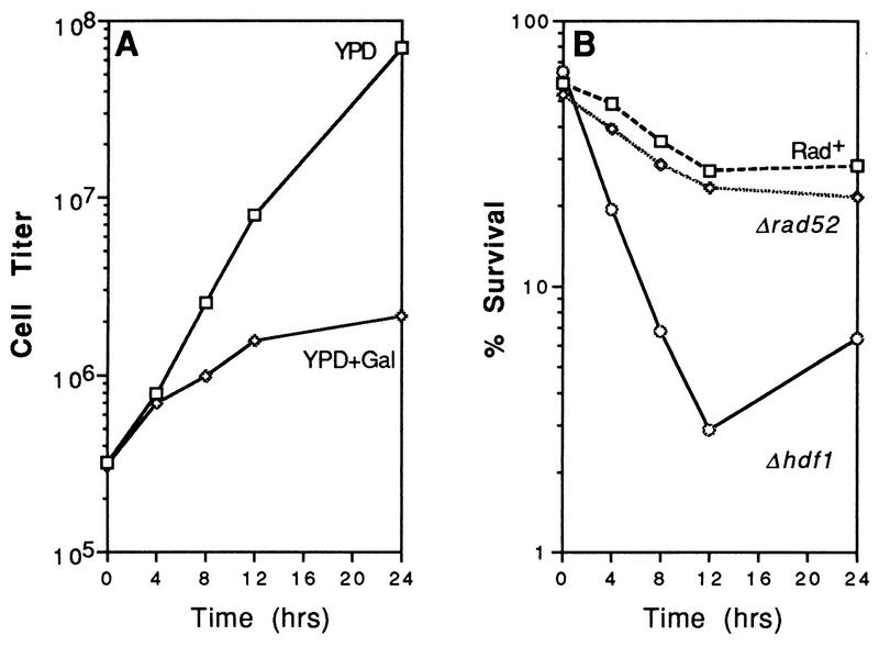 FIG. 7