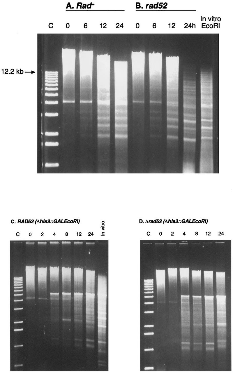 FIG. 8