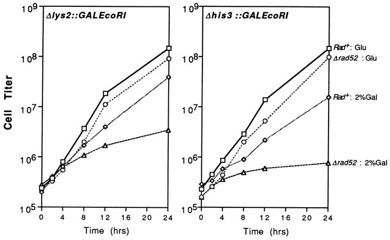 FIG. 5