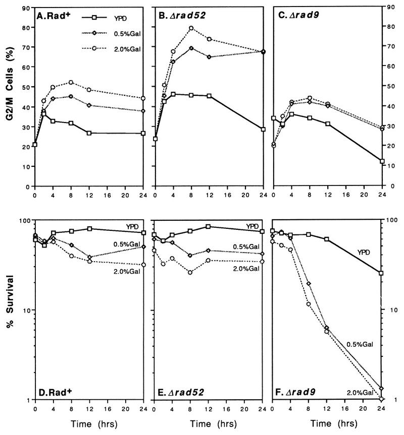 FIG. 6