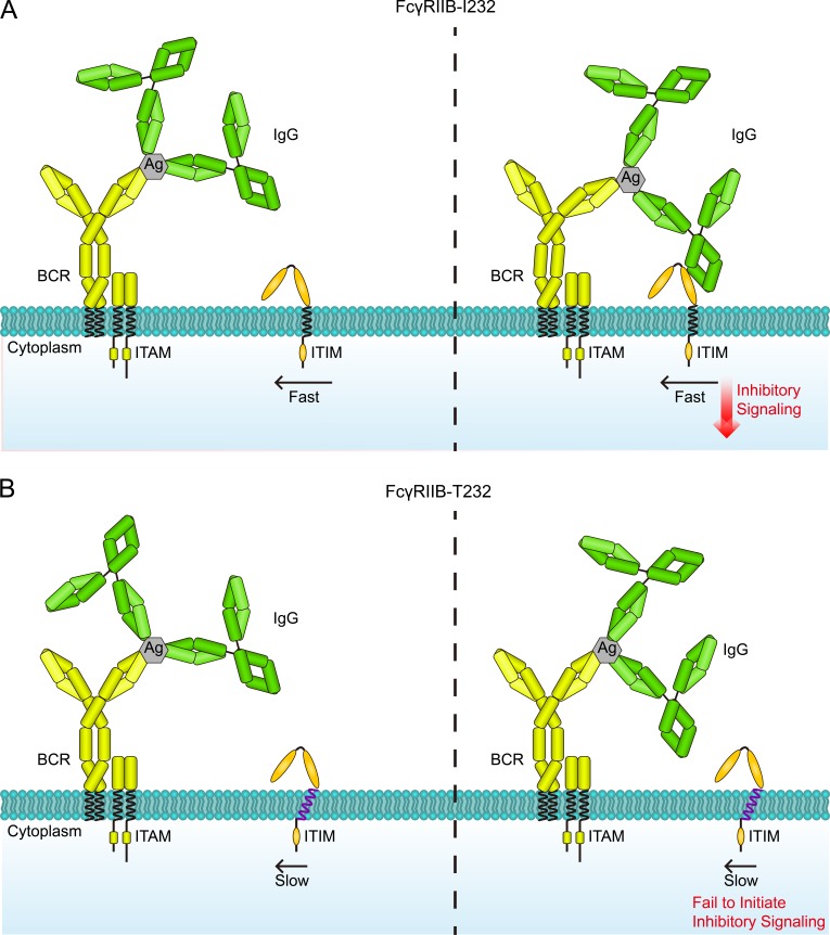 Figure 9.