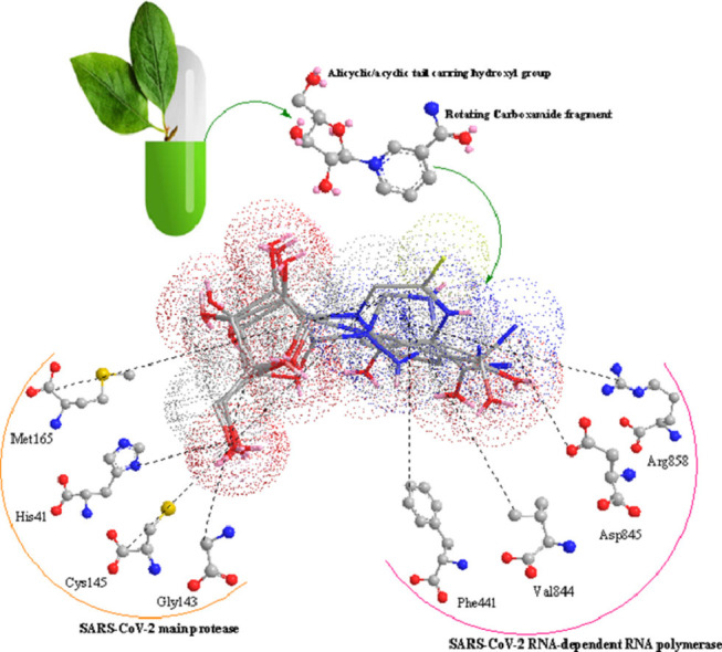 Image, graphical abstract