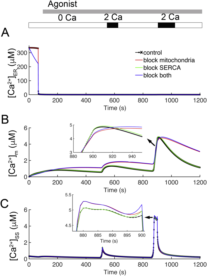 Figure 7