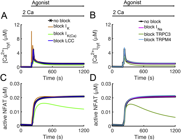 Figure 11