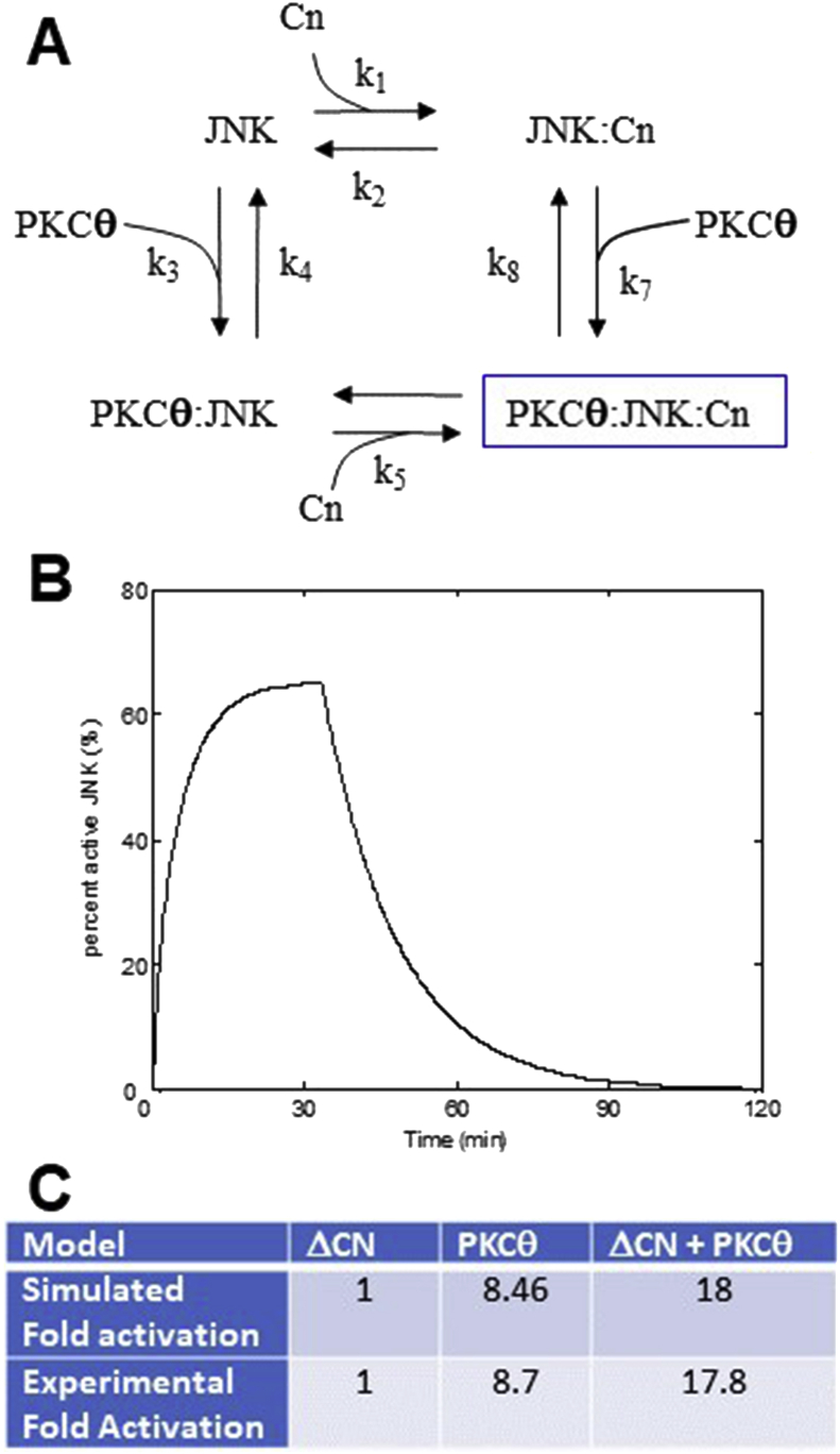 Figure 9