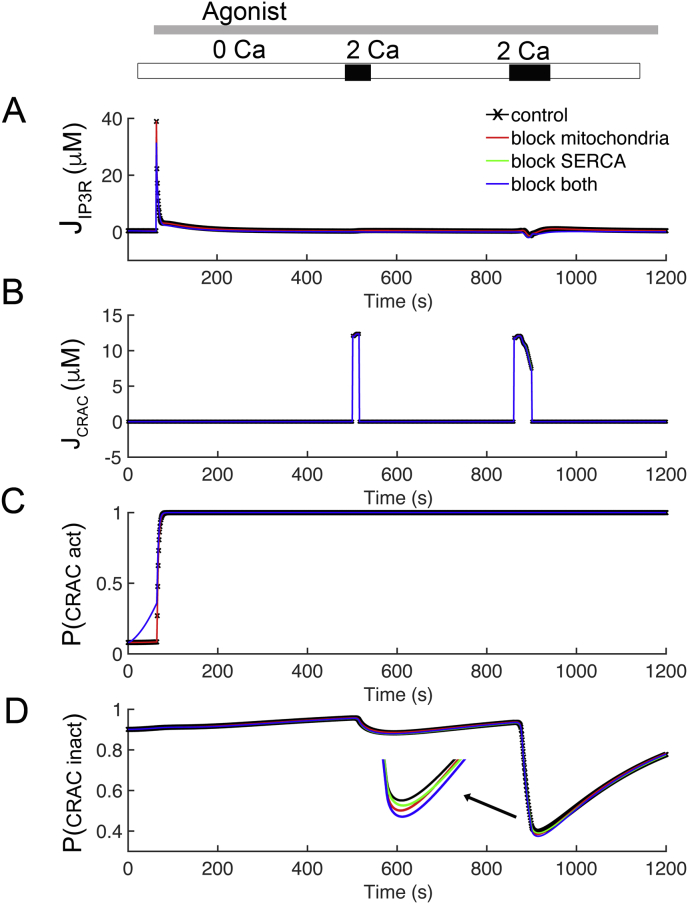 Figure 6