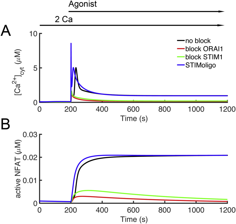 Figure 12