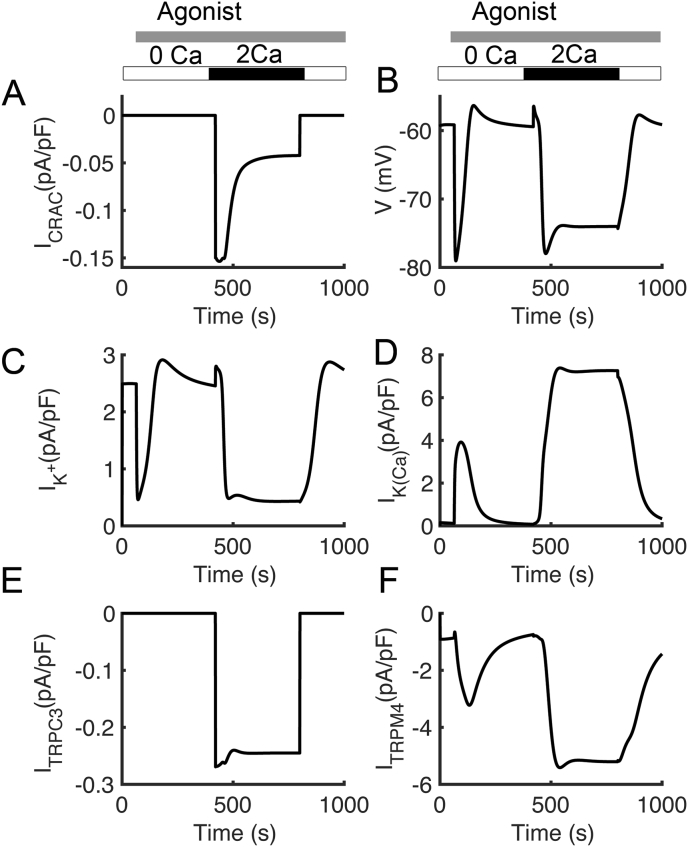 Figure 4