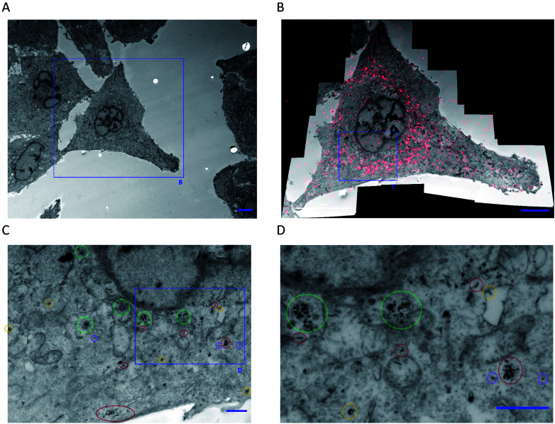 Fig. 7