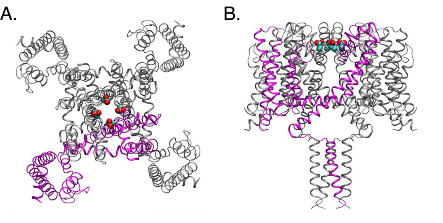 Figure 4.