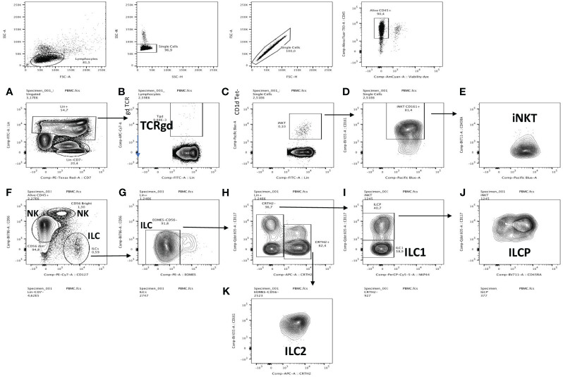 Figure 1