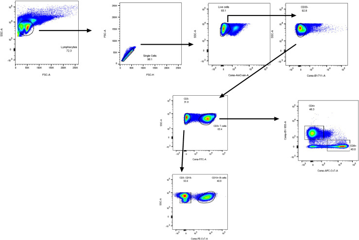 Figure 2