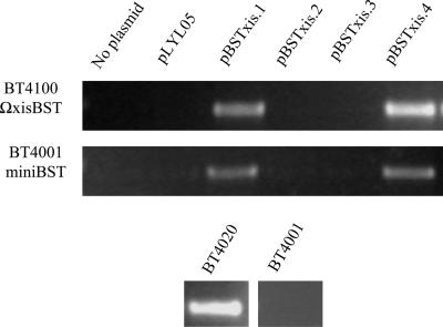 FIG. 4.