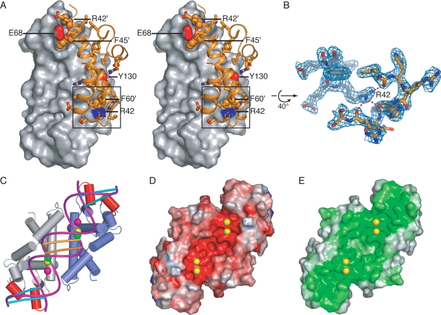 Figure 2.