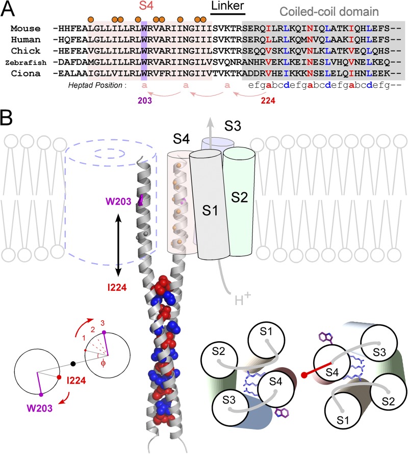 Figure 6.