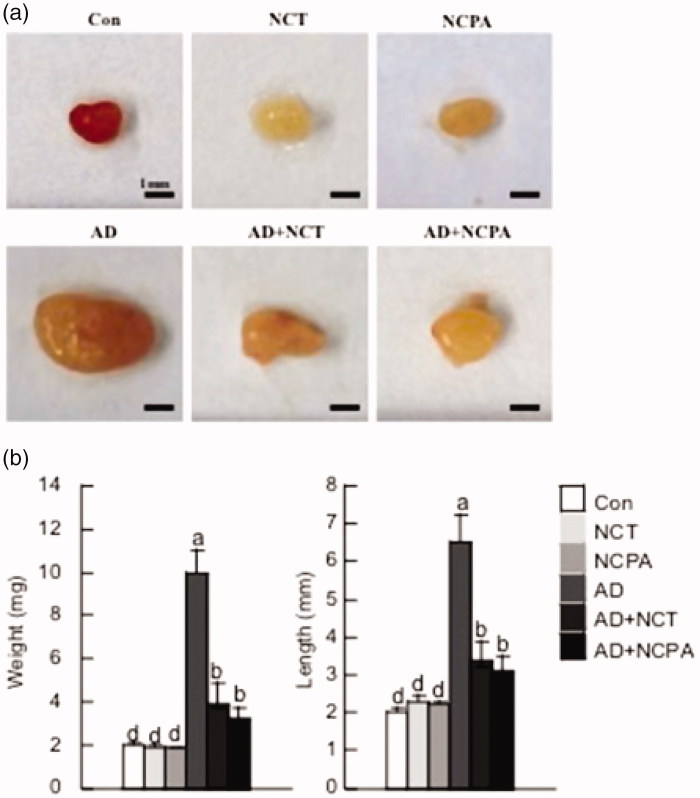 Figure 5.