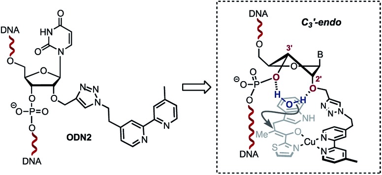 Scheme 3