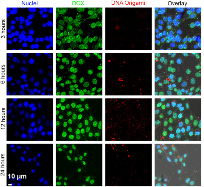 FIGURE 6