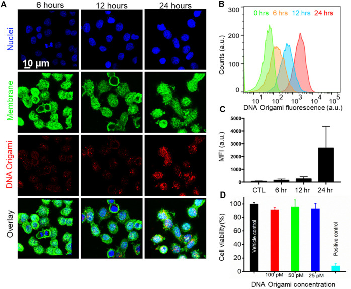 FIGURE 4