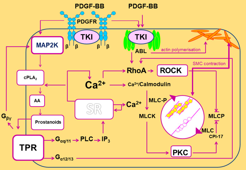 Fig. 9