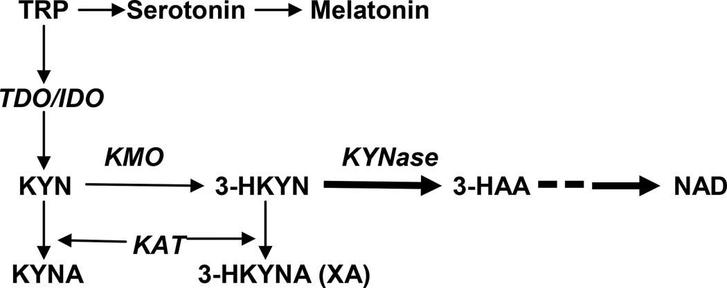 Fig.1