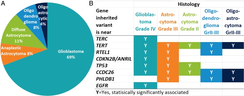 Fig. 2.