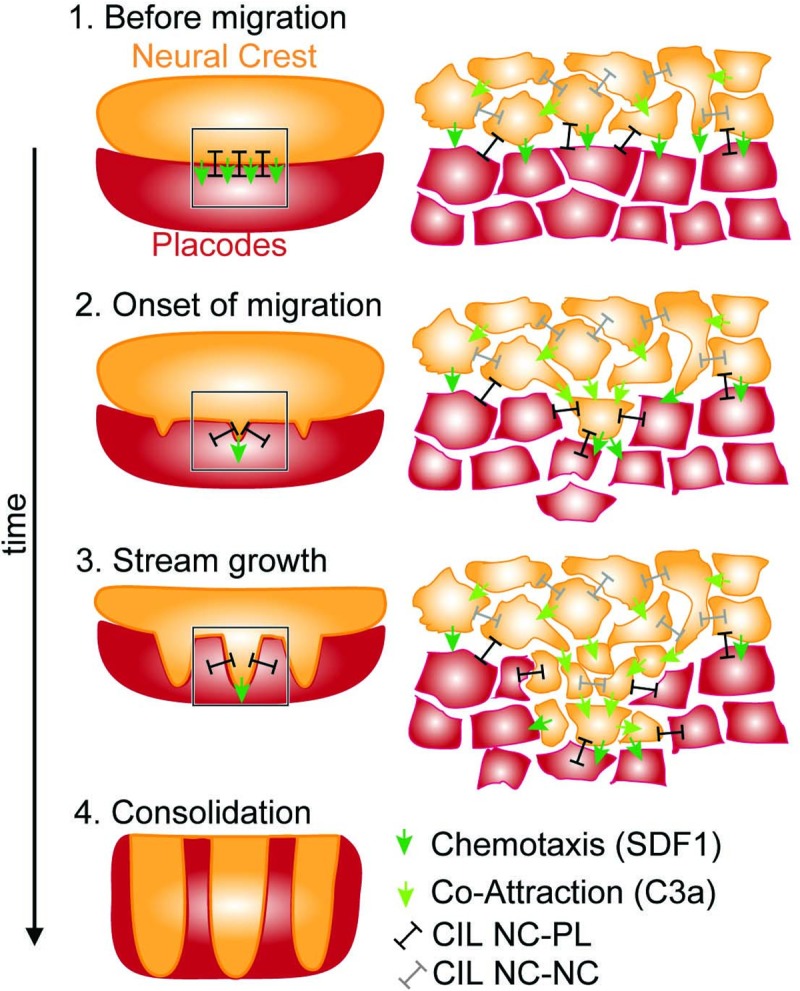 Fig 7