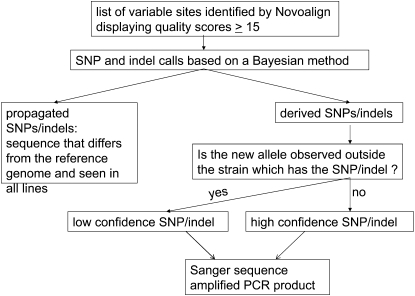 Figure 1.—