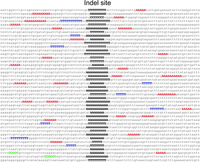 Figure 2.—