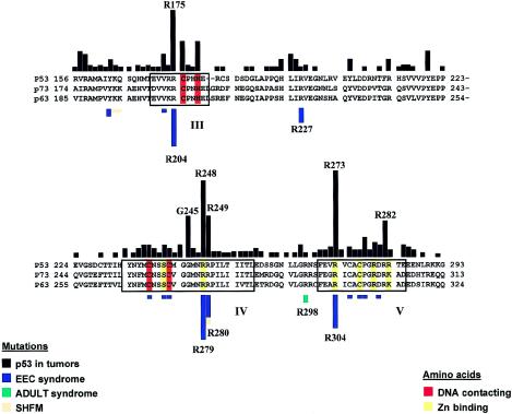 Figure  2