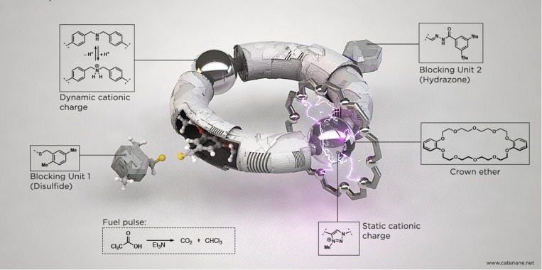 graphic file with name pnas.1811689115fig01.jpg