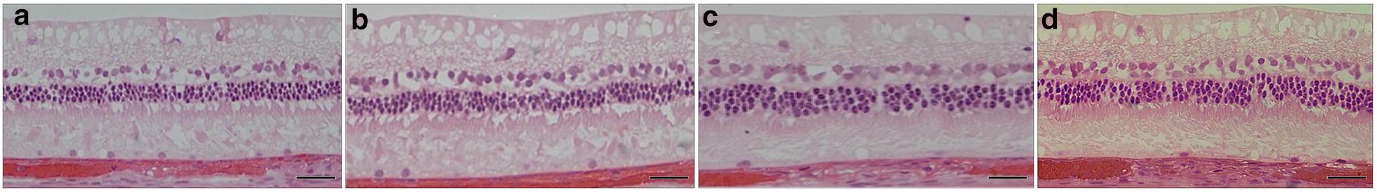 Fig. 5