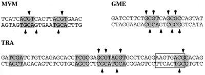 FIG. 9