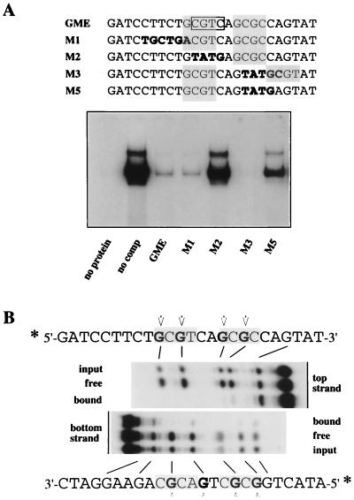 FIG. 8