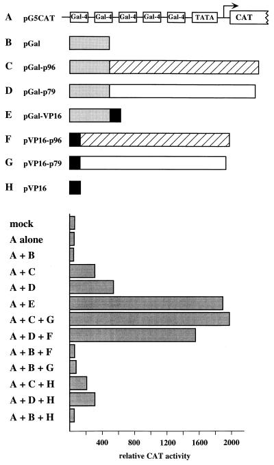 FIG. 7