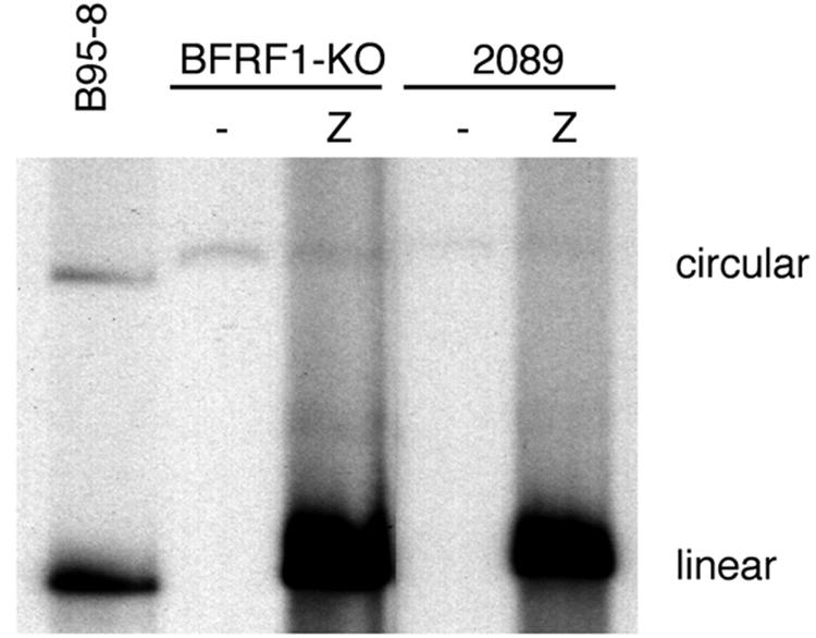 FIG. 3.