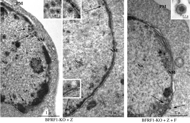 FIG. 7.