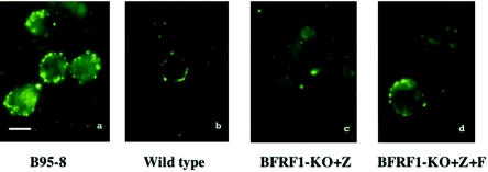 FIG. 6.